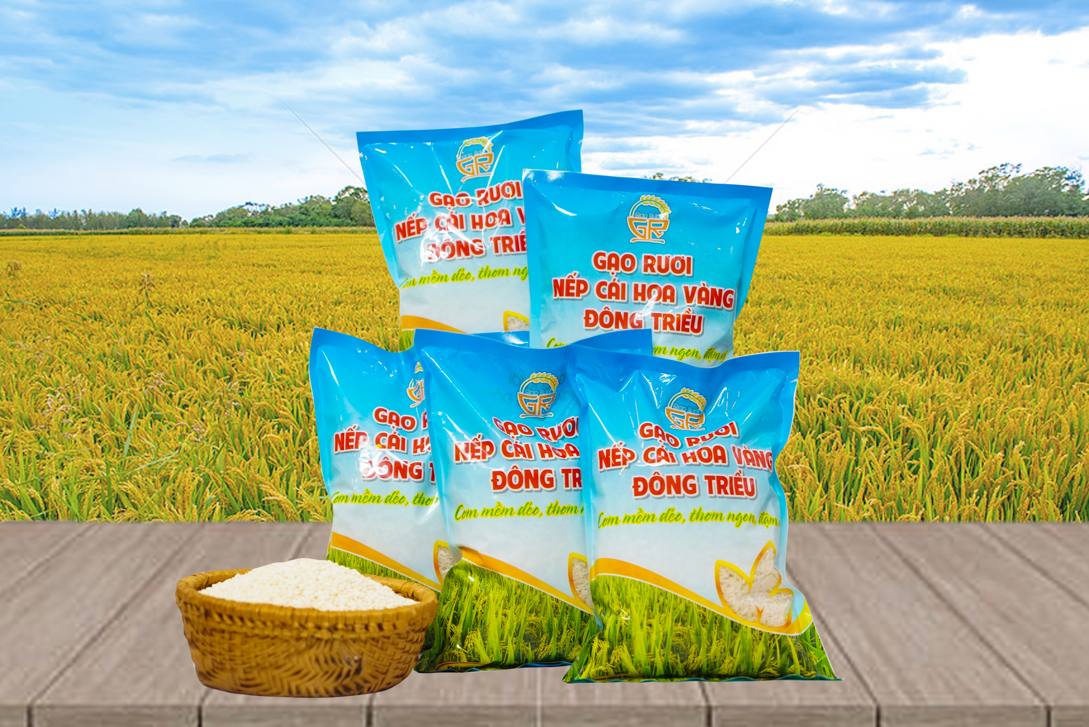 gạo rươi nếp cái hoa vàng